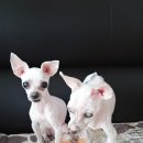 금오동물병원 이미지