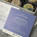 진솔미과점