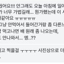 빛나리자 이미지