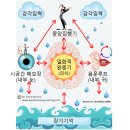덕스어학원 이미지