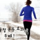 지애폴 이미지