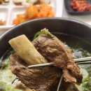 대표고집 | ​세종 맛집 연씨고집 점심 추천! 수제갈비탕 &amp; 육회비빔밥 솔직 후기