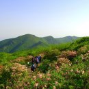 영주 이미지