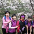 탁구 초급반 이미지