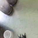 3형제농장 이미지