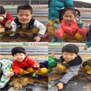 칠곡한솔유치원 이미지