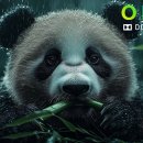 SPECTACULAR 4K HDR 60fps Dolby Vision | Most Colorful Nature Video 이미지