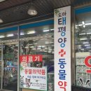 도마태평양약국 이미지