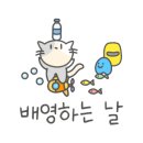 키즈스플래쉬 이미지