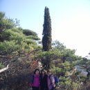 학현목장 이미지