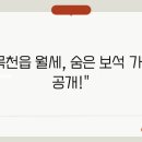동남오피스텔 이미지