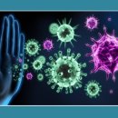 웰에이징김정혁내과의원 이미지