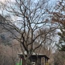 계명산자연휴양림 야영장 이미지