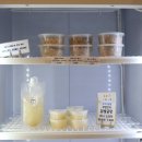 댕댕보스 이미지