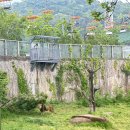 카페융가비 | 서울대공원 동물원 /융가비카페/주차꿀팁