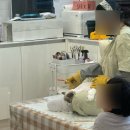 바비캣 | 세종 고양이호텔 “오늘도미묘” | 치치와 바비의 첫 호텔링 후기