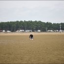 오토케이브 이미지