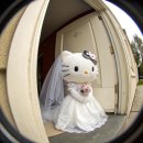 웨딩스쿨결혼전문영남 | [W10.웨딩촬영📸] 내돈내산 소품 총정리 - 쿠팡, 다이소, 테무 등등