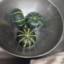 해남군-14 | 완도총각네수산물 해남 미니 밤호박 내돈내산 후기 및 20개월 아기 단호박 요리 죽,리조또, 샐러드