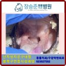 장승준동물치과병원 이미지