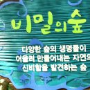 이화숲유치원 이미지