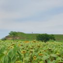 연천 호로고루 이미지