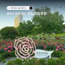 서울 장미 축제 중랑천 광진장미정원 5월 꽃명소