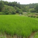 남궁농장 이미지