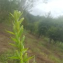 한국수자원공사 대청댐물문화관 이미지