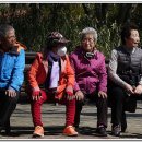 담소 이미지