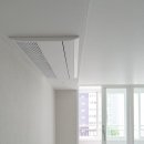 로즈와 나 이미지