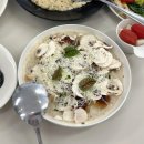 롤리폴리 | 롤리폴리 꼬또｜오뚜기 이탈리안 레스토랑 내돈내산 후기 (선정릉 맛집 추천 💛)