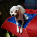 슈퍼스타멍 이미지