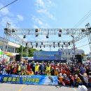 영덕 물가자미 축제 서울일보
