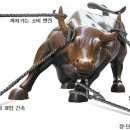 황소야 이미지