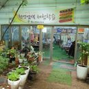 천연염색에 대한 이해와 실습 이미지