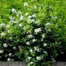 송면보건지소 이미지