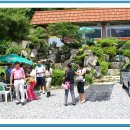 늘해랑식당 이미지