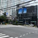 벤츠 금정전시장 앞 이미지