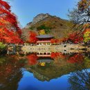 백양사농업협동조합 이미지