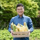 초당 이미지