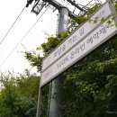제주생태관광주 | [경기/광주] 여름의 끝, 가을의 시작 - 경기도 광주시 <화담숲> 방문기(1)