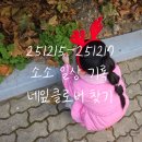 행운세탁소 | 251215(월)-251217(수) 소소 일상 기록 "일상이 곧 행복(행운)이다"
