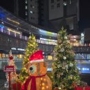 오늘도 한우 합정점 | 합정역 한우 오마카세로 즐긴 연말 외식 으뜸숙성한우 솔직후기