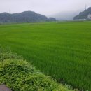 금은농장 이미지