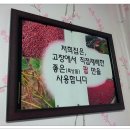 엄지분식 이미지