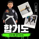 정무합기도 | 엄마가 직접쓴!! 우리 아들이 씩씩해진 비밀 원통정무합기도 후기