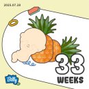 (주)케이두레 | [임신일기] 임신 33주차, 하지정맥류, 불면증, 강북삼성병원 초음파, 내분비내과 임당 진료, 33주차...