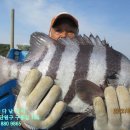 해솔바다낚시터 이미지