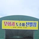 우리손 영암농장 | 제철 맞은 달콤함, 영암 무화과 농장 직거래 방문 기